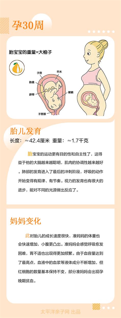 怀孕30周胎儿发育和妈妈变化_怀孕科普_怀孕_太平洋亲子网