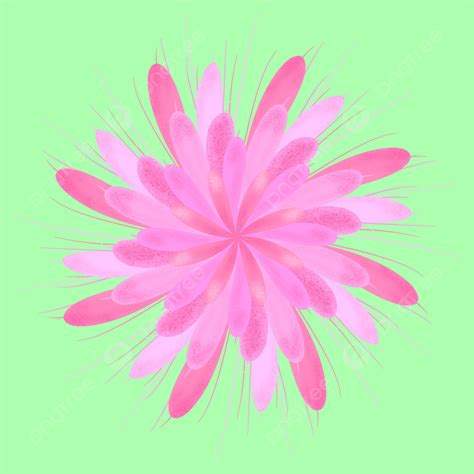 Image result for Diffusion Filter Flower Images