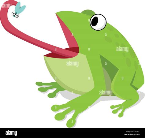 Frog Eating Fly Clipart