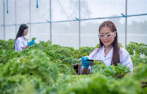 Agriculture Scientist 的图像结果