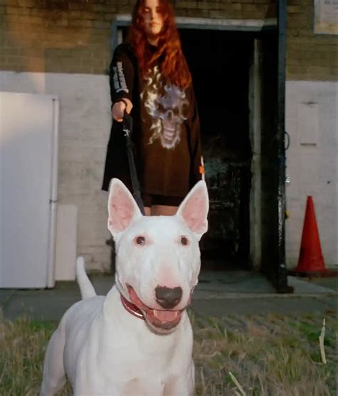 Scary Dog Privilege: meet the hounds empowering and… - The Face