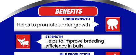 REFIT ANIMAL CARE Veterinary Vitamin H for Cow, Cattle, Poultry ...