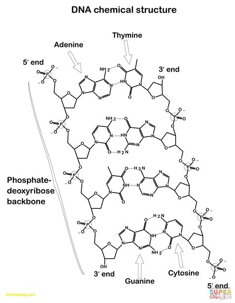 Labels KeyShot 的图像结果