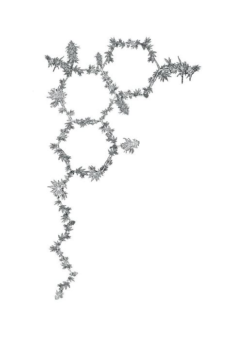 Image result for THC Molecule Vector