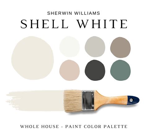 Image result for What Color Is Shell