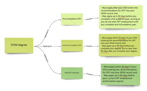 The Ultimate Guide to International Student OPT — Top Business ...
