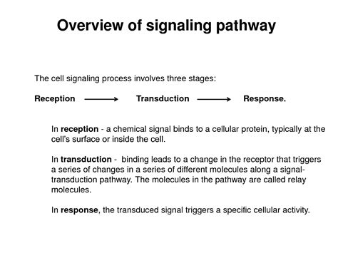 Image result for Cell Signaling Process