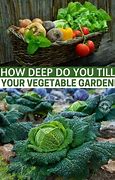 Image result for Vegetable Garden Tilling