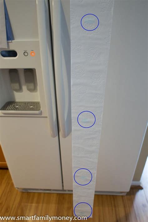 Image result for Toilet Paper Science Fair Projects