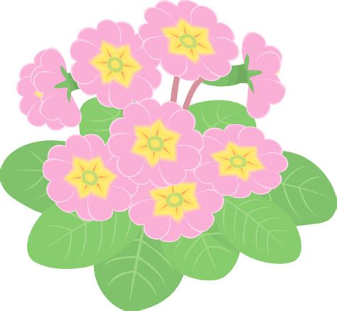 Primrose Clipart
