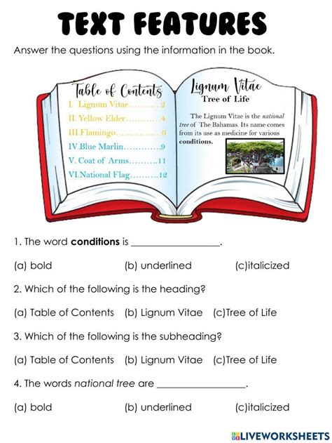 Image result for Text Features Chart Worksheet