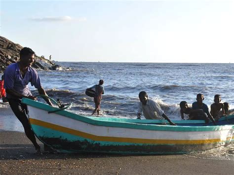 An Exhibition To Celebrate The Coastal Ecosystems And The Koli, Warli ...