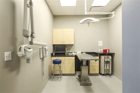 Carriage Animal Hospital | RWE Design Build | Hospital design, Animal ...