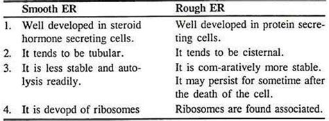 difference between rough and smooth surface - Brainly.in