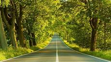 Nature Hd Wallpapers 1080p by Wallpapers Hd 1080p Nature Green Wallpaper Cave Nature Hd Wallpapers 1080p