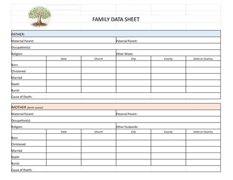 Image result for Using Excel as a Database for Genealoy