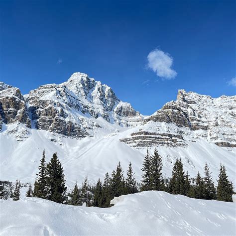 CROWFOOT GLACIER (2026) All You Need to Know BEFORE You Go (with Photos ...