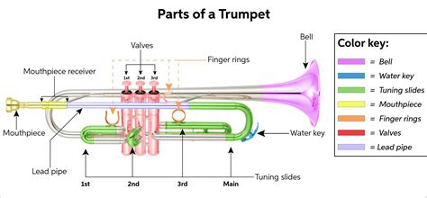 Parts Of A Trumpet