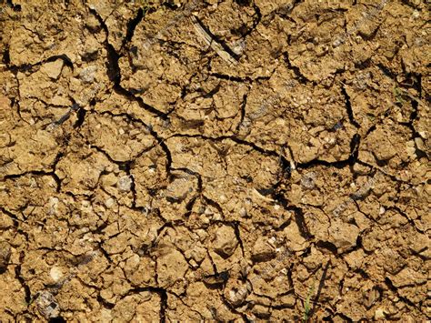 Ground Textrue Map 的图像结果