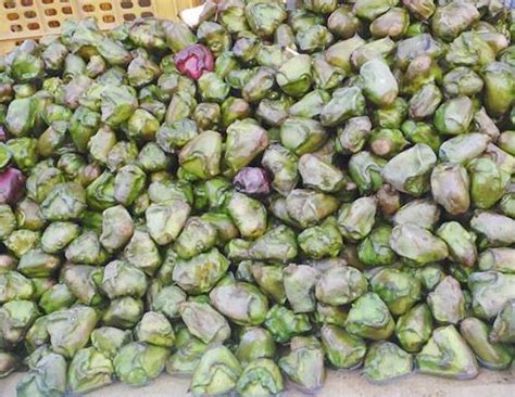 5 Benefits of Eating Water Chestnuts - lifeberrys.com