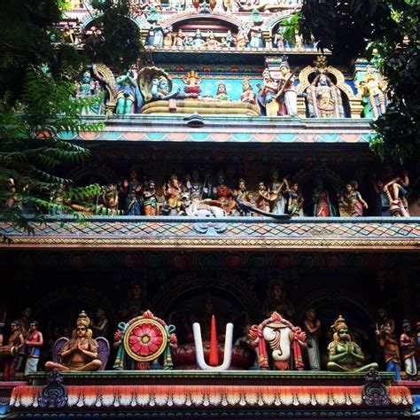 Matunga 的图像结果