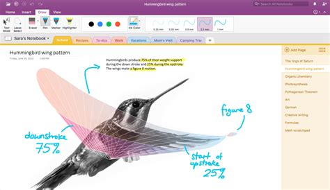 Image result for Using Pencil in OneNote