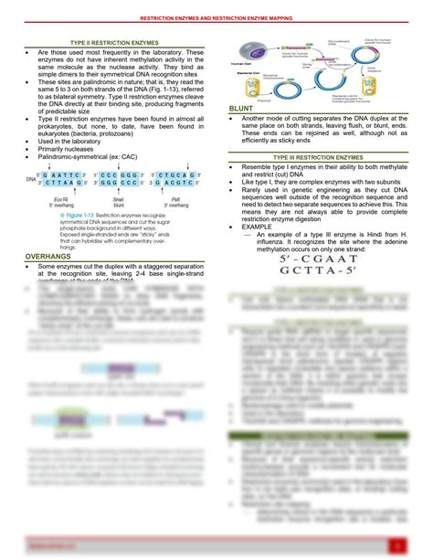 Image result for Restriction Enzyme Map
