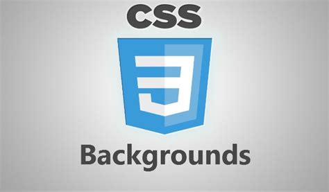 How to Reduce Logo Size in HTML Using CSS 的图像结果