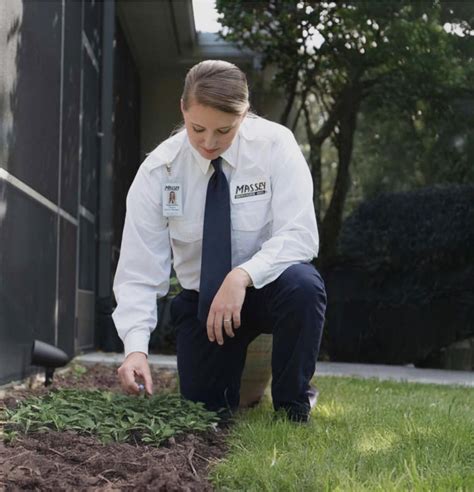 Pest Control Massey - Massey Services, Inc.