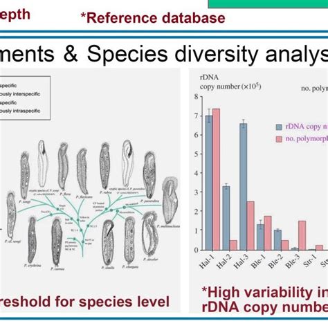 Image result for Microbial Barcoding