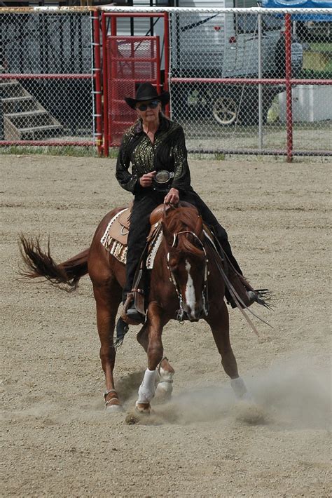 Image result for Reining Tutorials