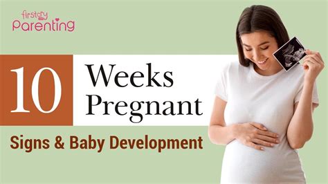 Everything To Know About 10 Weeks Pregnant at Natalie Kelley blog