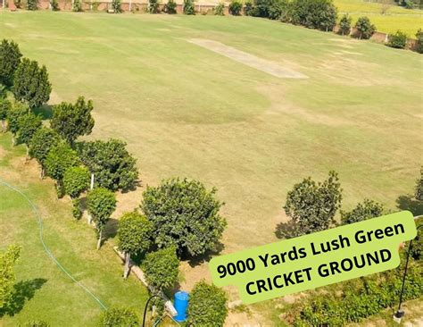 BCA Colleges in Faridabad: Jb knowledge Park