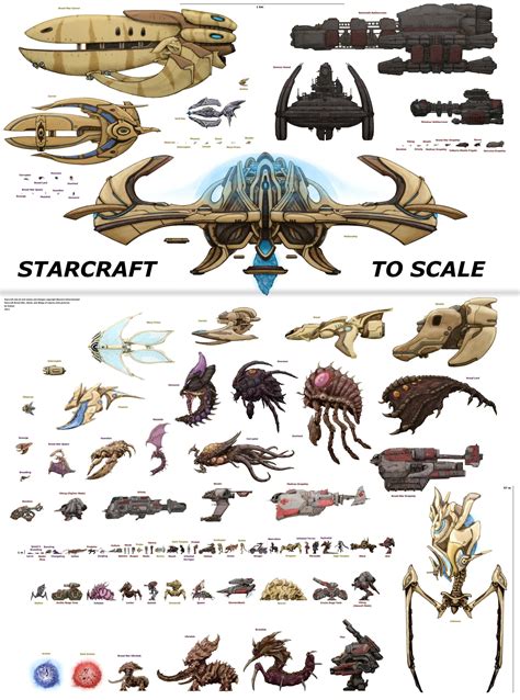 Starcraft units to scale. | Starcraft, Starcraft zerg, Stars craft