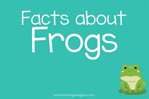 55 Fascinating Facts About Frogs