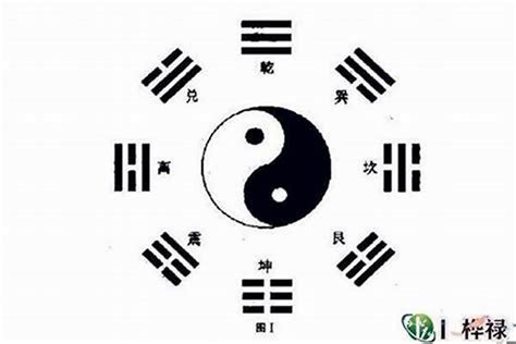 什么是六爻卦身？六爻卦身的作用 – 易师汇传统文化