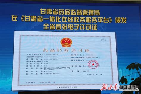 甘肃省公务员考试网上报名流程及证件照片处理审核方法 - 哔哩哔哩