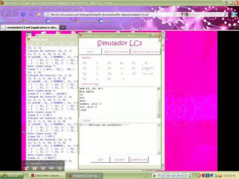 LC3 Tutorial 的图像结果