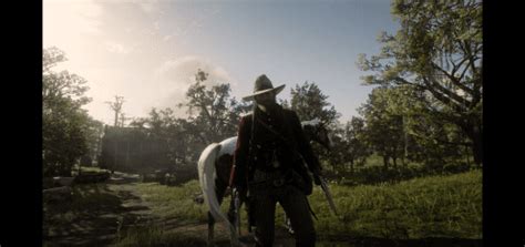 Image result for RDR2 Save File Descepency