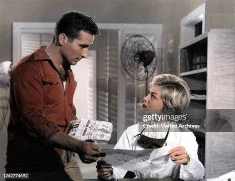 65 Anita Quinn Photos & High Res Pictures - Getty Images