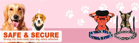 Best Dog Walking Essentials | Dog Leash, Dog Harness & Dog Belt ...