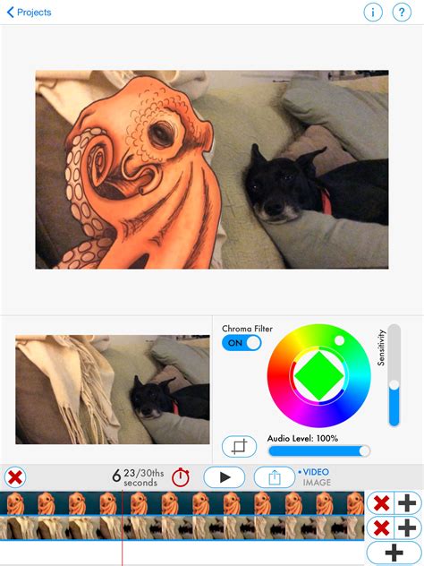 Simple Green Screen App Tutorial 的图像结果