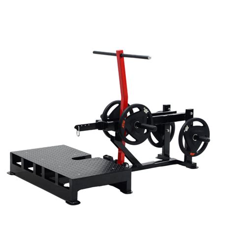 Belt (Sumo) Squat Plate Loaded — MSFFIT