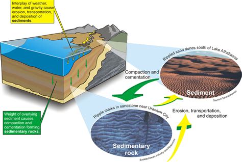 Image result for Natural Compaction