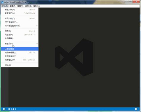 JavaScript Tutorial VSC 的图像结果