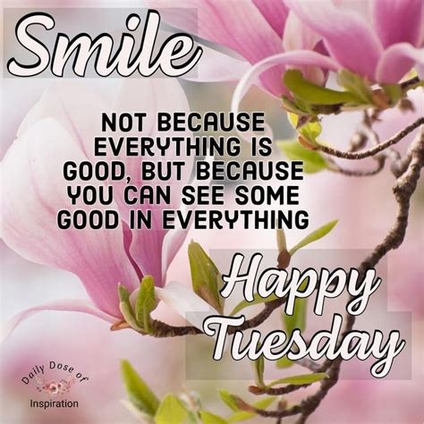 Inspirational Quotes Happy Tuesday at Maureen Baker blog