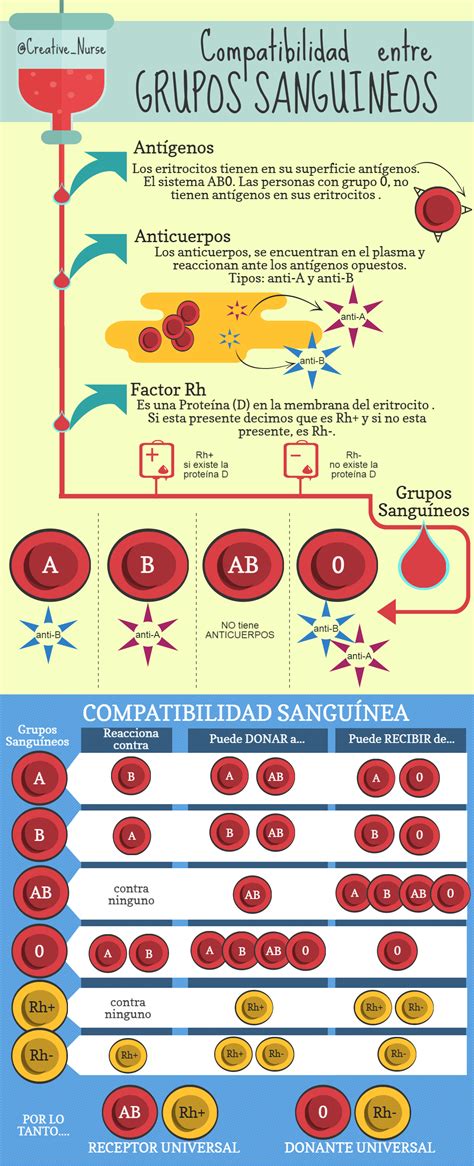 Grupos Sanguíneos – Enfermería Creativa