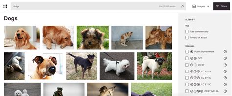 Image result for Image Search Using