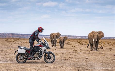 Adventure Touring Motorcycles 的图像结果