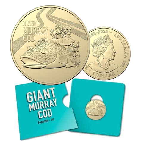 2023 $1 Aussie Big Things – The Giant Murray Cod Coin In Card - Aussie ...